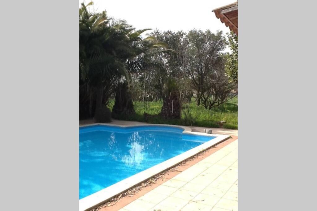 Big Relax Apartment With Swimming Pool And A Peaceful Garden In A Private Villa Sestu Kültér fotó