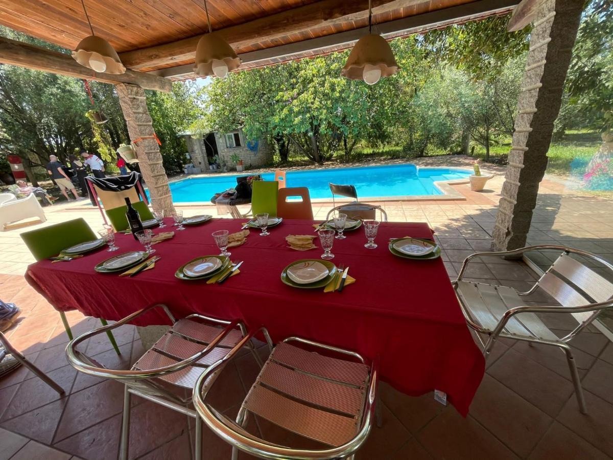 Big Relax Apartment With Swimming Pool And A Peaceful Garden In A Private Villa Sestu Kültér fotó
