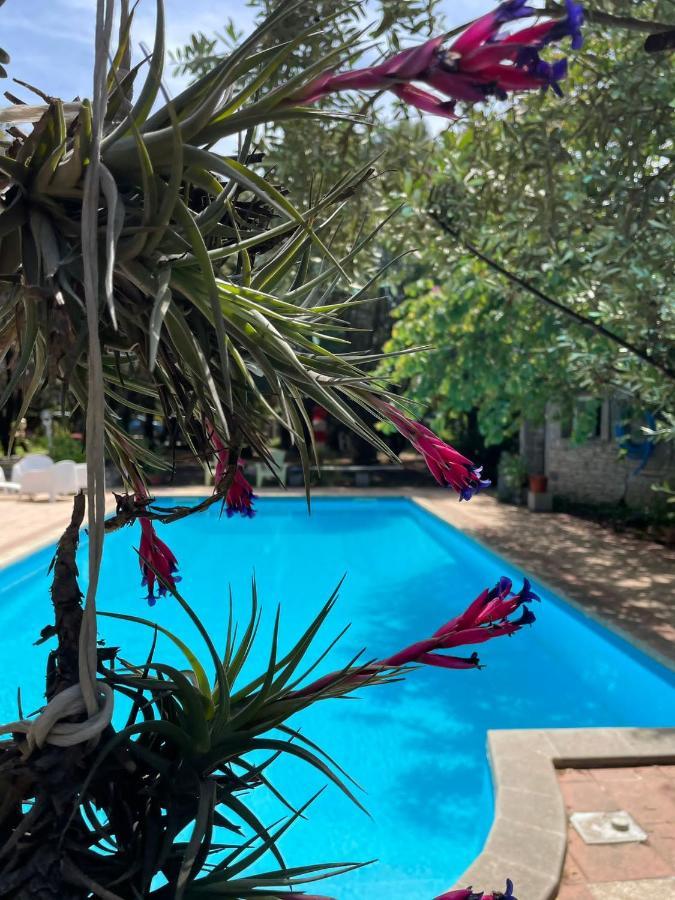 Big Relax Apartment With Swimming Pool And A Peaceful Garden In A Private Villa Sestu Kültér fotó